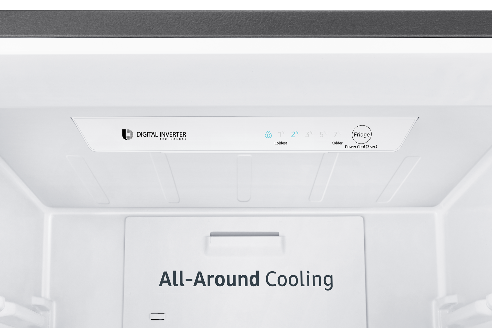 close-up-display Brown