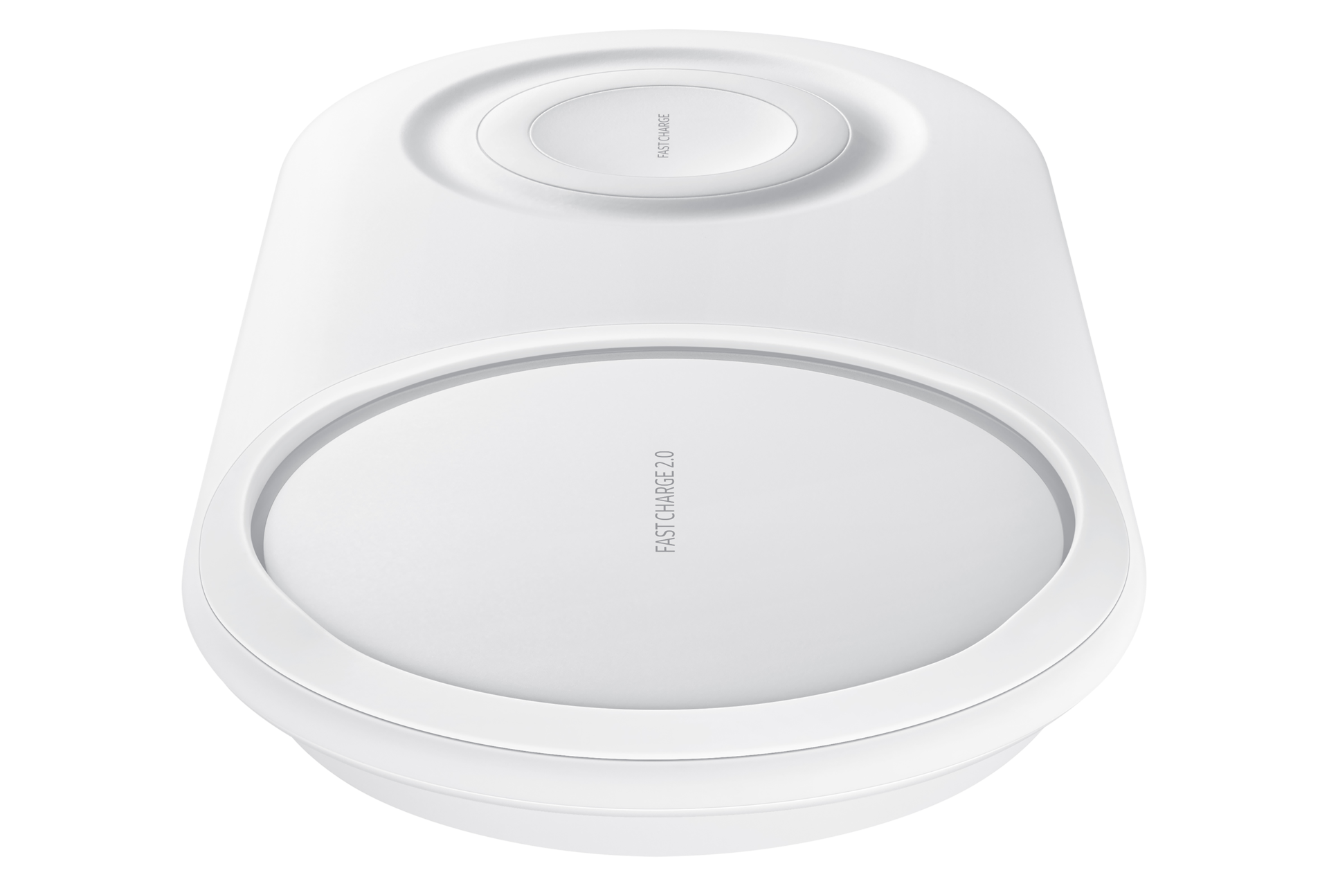 dynamic white