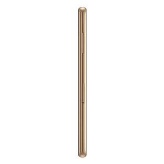 L Side Gold