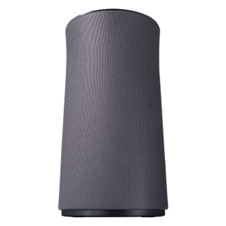 Dynamic1 gray