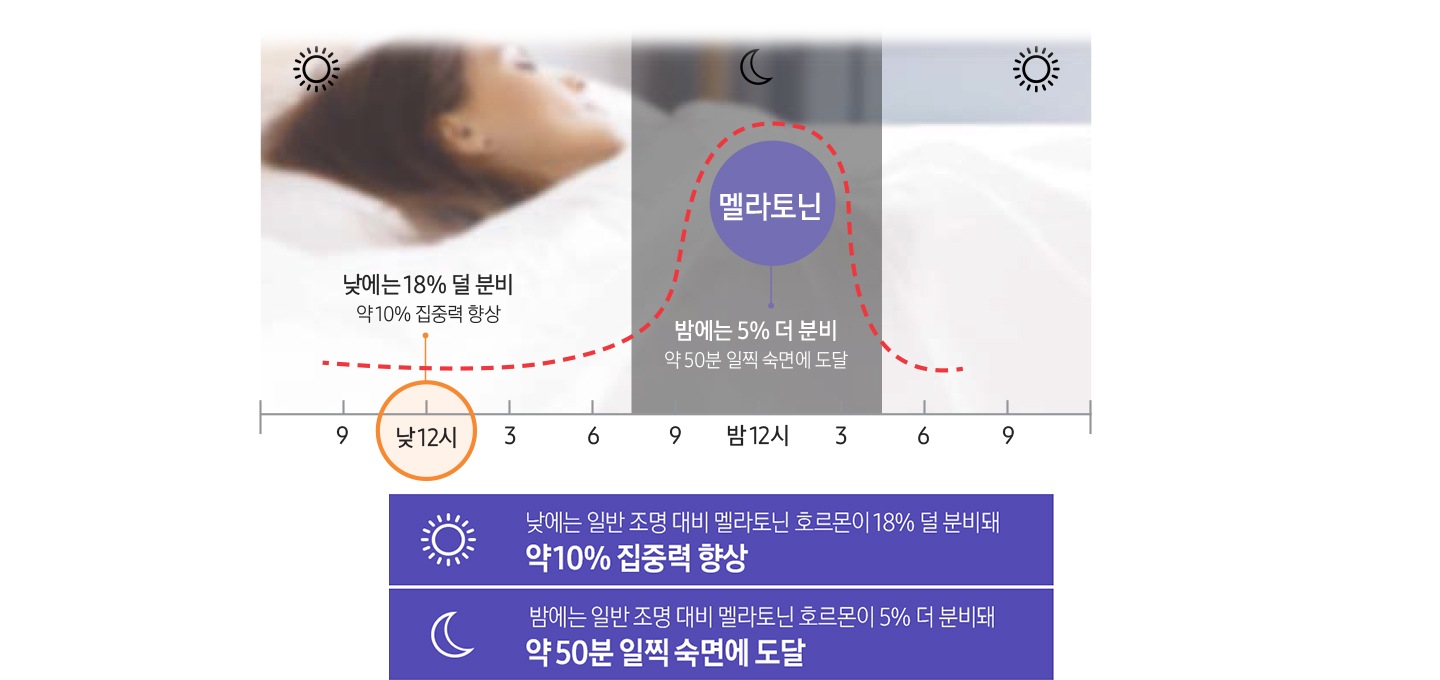 하루동안의 멜라토닌 수치를 그래프화 하여 보여주고 있고 낮에는 약 10 % 집중력 향상, 밤에는 약 50분 일찍 숙면에 도달을 설명하고 있습니다.