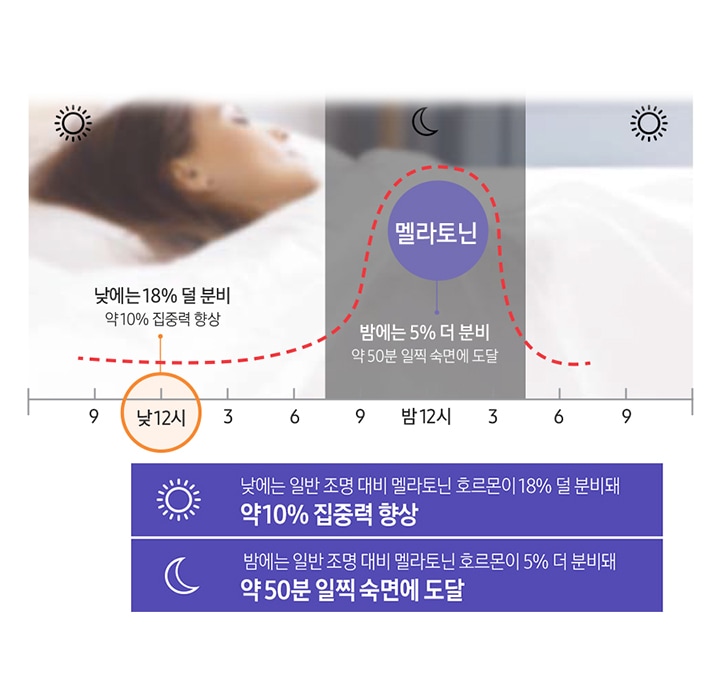 하루동안의 멜라토닌 수치를 그래프화 하여 보여주고 있고 낮에는 약 10 % 집중력 향상, 밤에는 약 50분 일찍 숙면에 도달을 설명하고 있습니다.