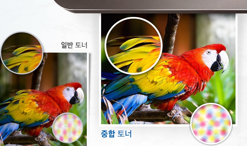 선명한 컬러 프린팅 