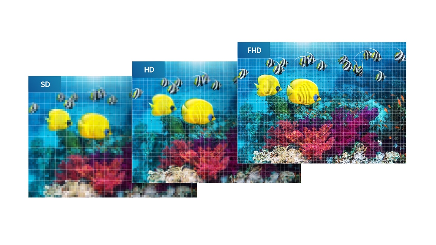 생생한 화질을 표현하기 위해 해상도가 SD일 때와 HD였을 때 물고기와 수초가 어떻게 표현되는지 보여주고 있습니다.