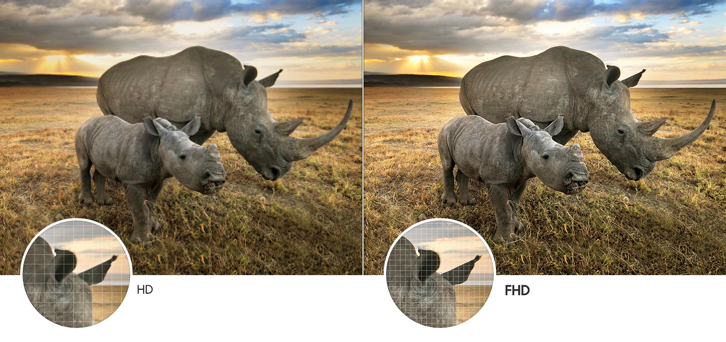 TV 베젤 안 코뿔소 2마리가 초원 위에 있습니다. 좌 : HD로 코뿔소가 흐릿하게 보입니다. 우 : FHD로 코뿔소가 선명하게 보입니다.
