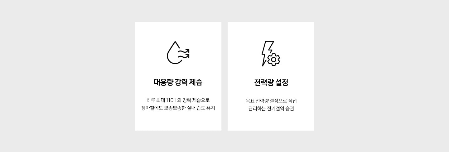 왼쪽부터 순서대로 '대용량 강력 제습. 하루 최대 110 L의 강력 제습으로 장마철에도 뽀송뽀송한 실내 습도 유지' 문구와 아이콘, '전력량 설정. 목표 전력량 설정으로 직접 관리하는 전기절약 습관' 문구과 아이콘이 보입니다.