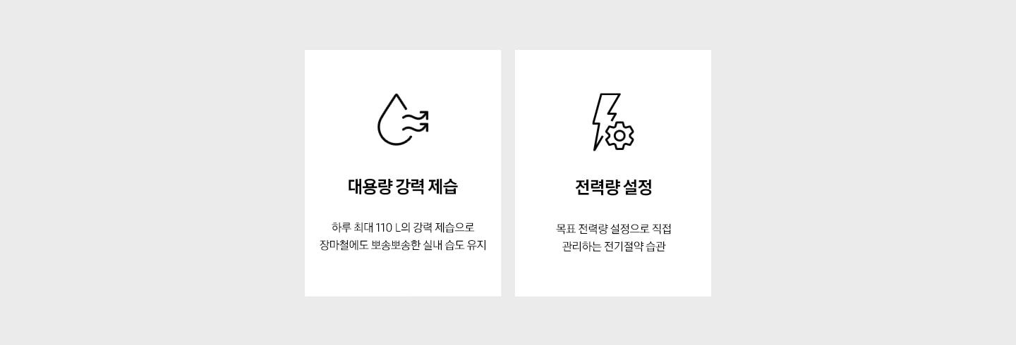 왼쪽부터 순서대로 '대용량 강력 제습. 하루 최대 110 L의 강력 제습으로 장마철에도 뽀송뽀송한 실내 습도 유지' 문구와 아이콘, '전력량 설정. 목표 전력량 설정으로 직접 관리하는 전기절약 습관' 문구와 아이콘이 보입니다.