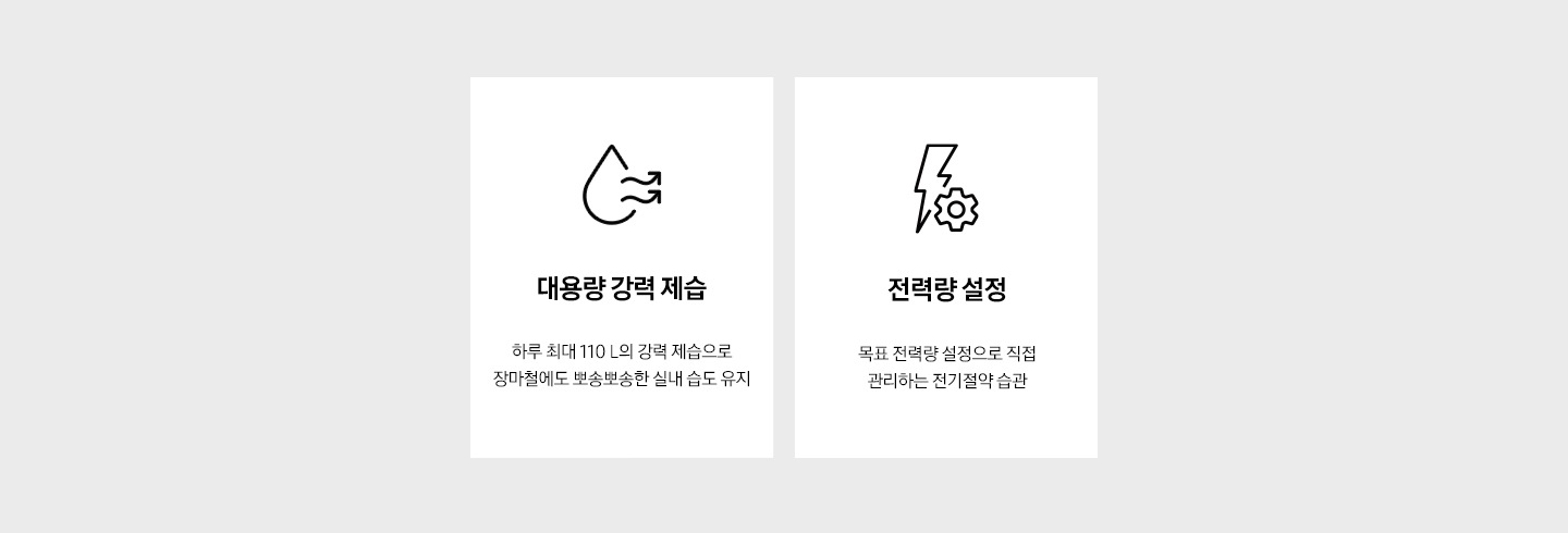 왼쪽부터 순서대로 '대용량 강력 제습. 하루 최대 110 L의 강력 제습으로 장마철에도 뽀송뽀송한 실내 습도 유지' 문구와 아이콘, '전력량 설정. 목표 전력량 설정으로 직접 관리하는 전기절약 습관' 문구와 아이콘이 보입니다.