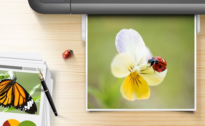 삼성 정품 잉크의 뚜렷한 컬러와 깨끗한 선처리를 보여주는 컷으로, 출력물에 꽃과 무당벌레가 보이고 있습니다.
