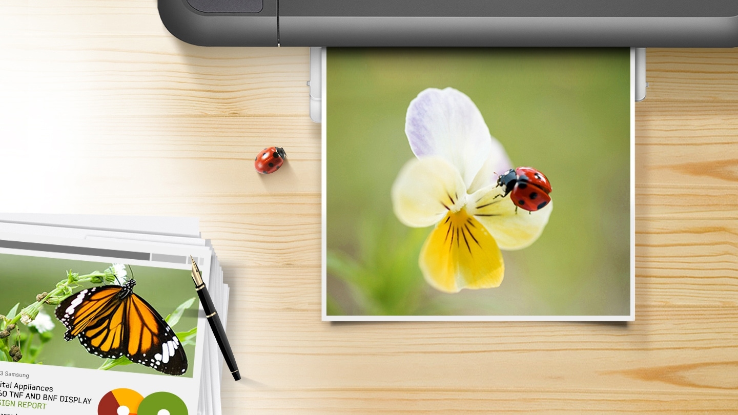 삼성 정품 잉크의 뚜렷한 컬러와 깨끗한 선처리를 보여주는 컷으로, 출력물에 꽃과 무당벌레가 보이고 있습니다.