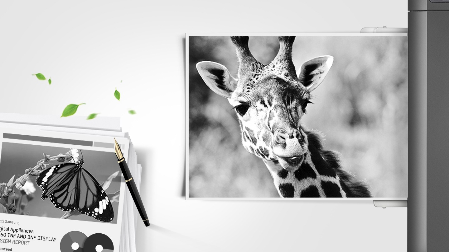 삼성 정품 잉크의 뚜렷한 컬러와 깨끗한 선처리를 보여주는 컷으로, 좌측하단에 문서와 펜, 나뭇잎 흩날리는 표시 및 우측 기린사진이 있습니다.