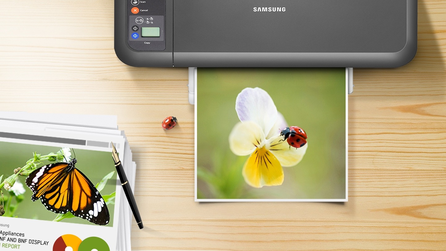 삼성 정품 잉크의 뚜렷한 컬러와 깨끗한 선처리를 보여주는 컷으로, 출력물에 꽃과 무당벌레가 보이고 있습니다.