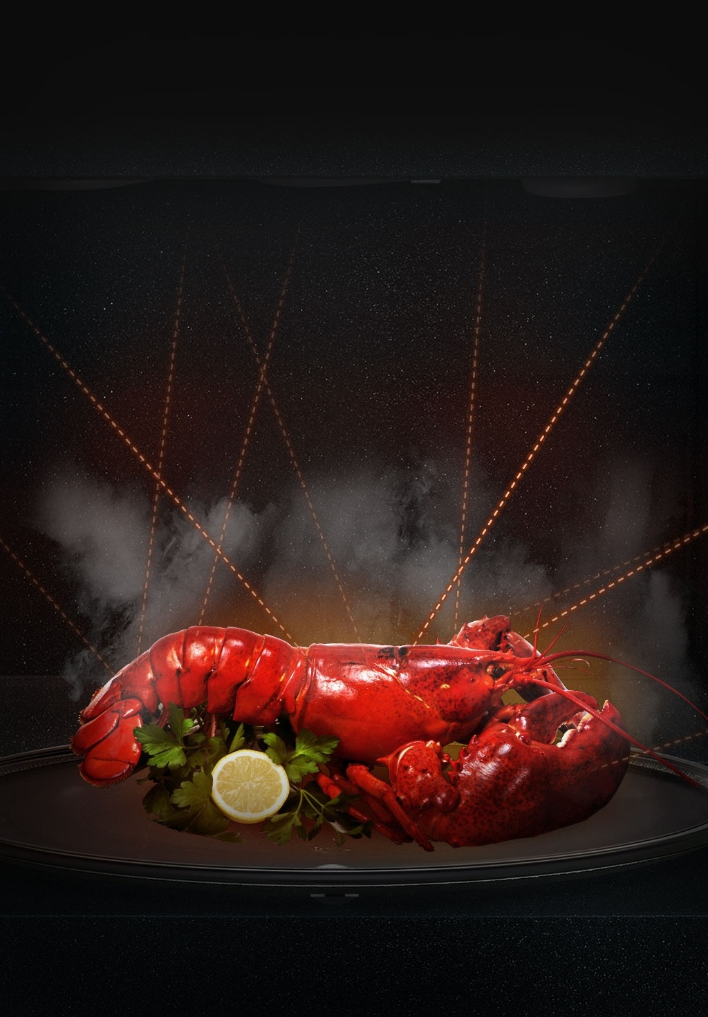 세라믹 전자레인지 내부에 랍스타가 놓여져 있고, 3면 입체방향으로 고주파가 방출되어 익혀지는 모습이 보입니다.