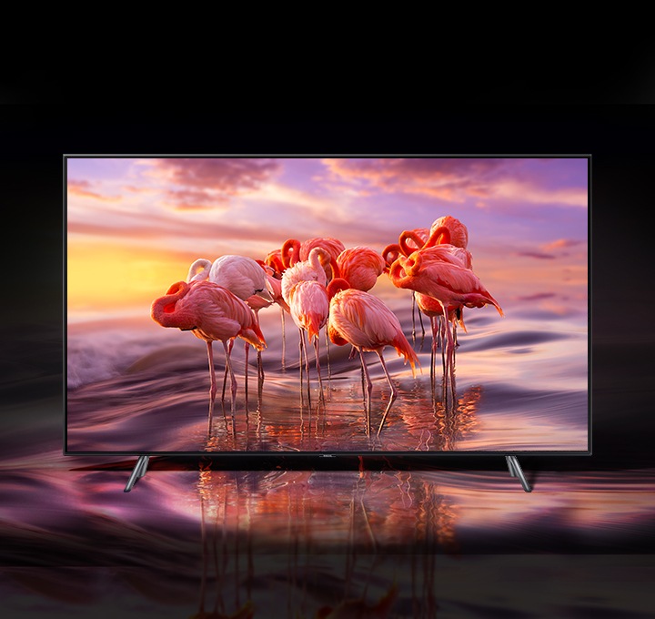 TV 인스크린 화면에 홍학이 나오고 컬러볼륨 100%로 있는 그대로의 색상을 표현하고 있습니다.