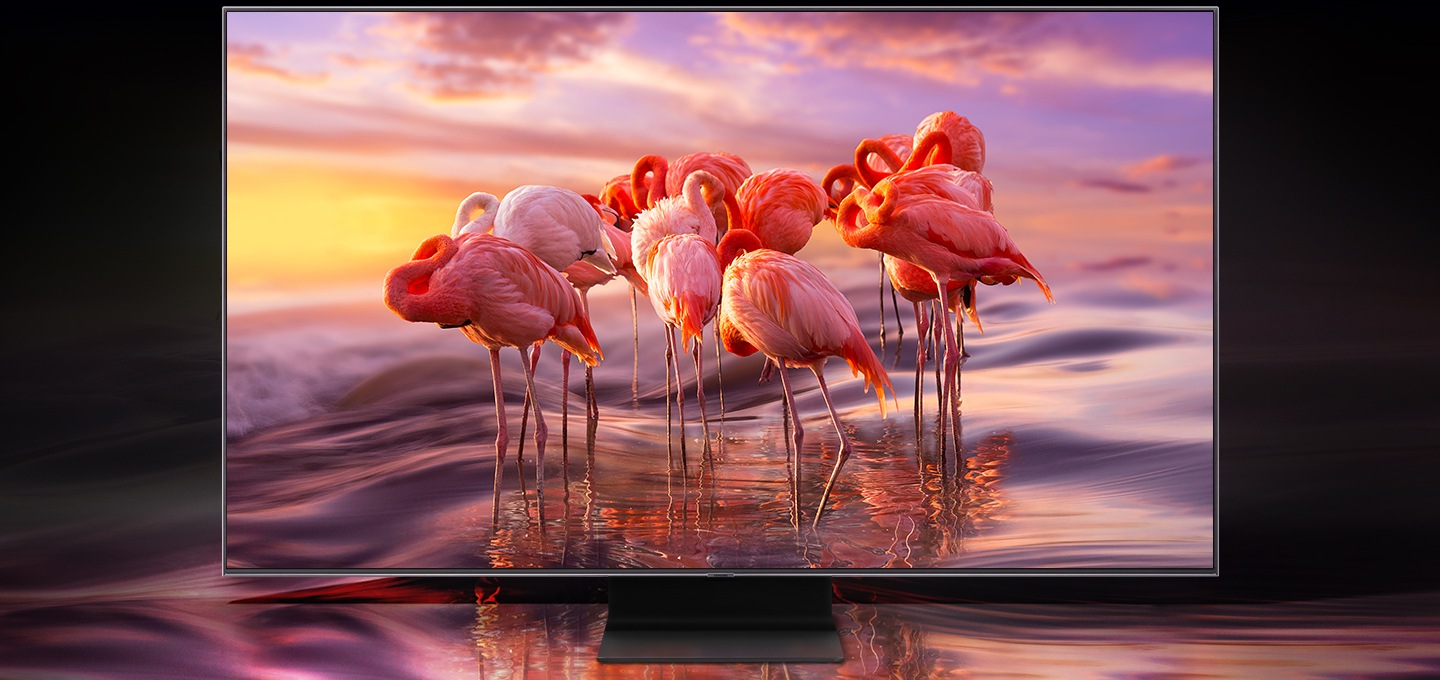 TV 인스크린 화면에 홍학이 나오고 컬러볼륨 100%로 있는 그대로의 색상을 표현하고 있습니다.