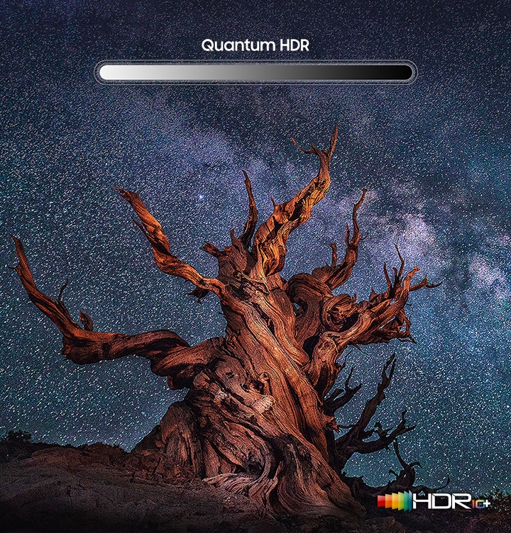 별이 가득한 밤하늘 아래 큰 나무가 서있습니다. Quantum HDR 흑백 조도 bar가 그라데이션 되어 상단에 보여지고 우하단엔 HDR 10+ 로고가 보여집니다.