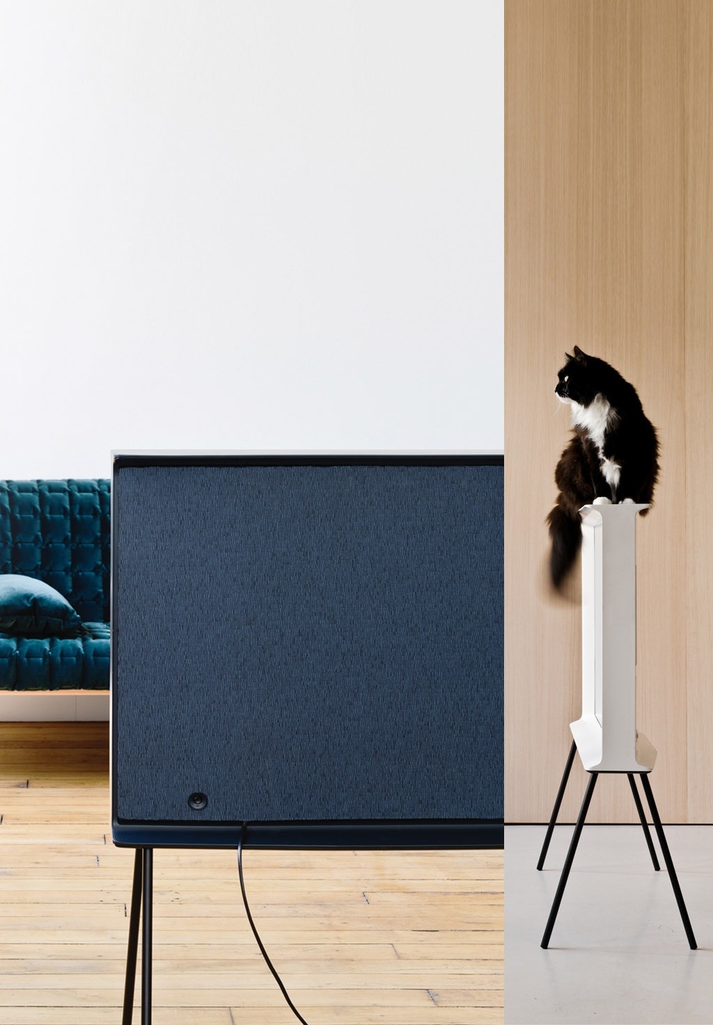 왼쪽에는 뒷면이 패브릭 소재로 마감된 세리프 TV의 모습이 보이고 오른쪽에는 세리프TV 옆면이 보이며 베젤 위에 고양이가 앉아 있는 모습이 보입니다.
