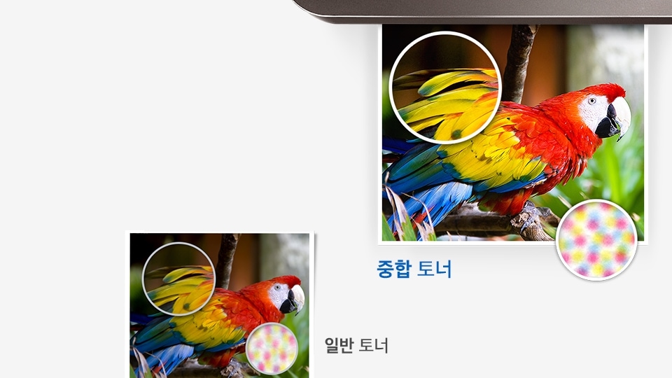 좌측에는 일반토너로 인쇄한 앵무새 사진, 오른쪽에는 중합토너로 인쇄한 앵무새 사진을 놓고 꼬리부분을 확대해서 비교하고 있다.