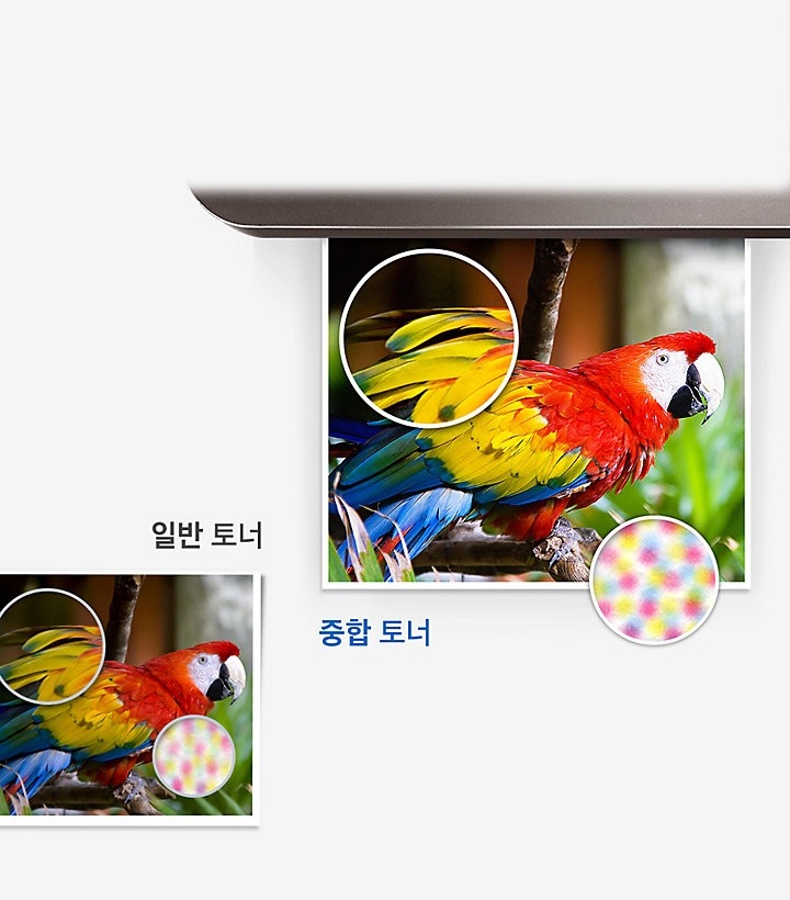 좌측에는 일반토너로 인쇄한 앵무새 사진, 오른쪽에는 중합토너로 인쇄한 앵무새 사진을 놓고 꼬리부분을 확대해서 비교하고 있다.