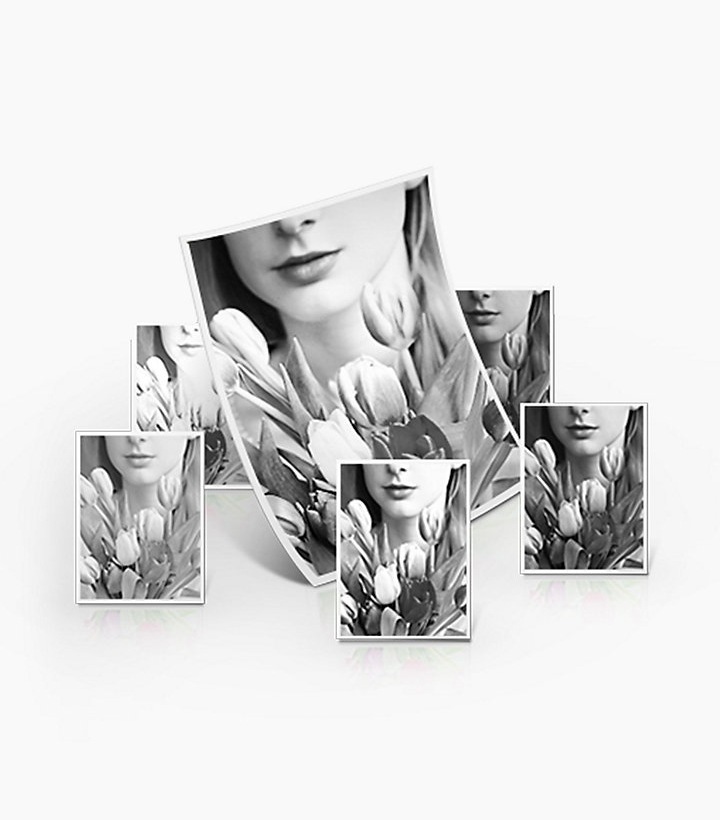 여자와 꽃이 인쇄된 출력물이 여러장 보여지고 있음