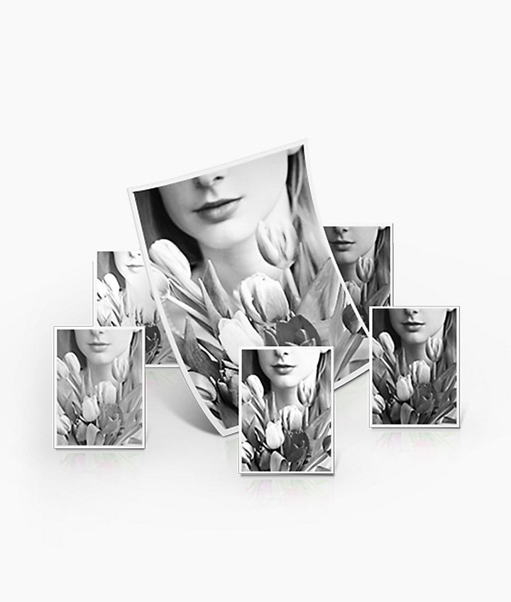 여자와 꽃이 인쇄된 출력물이 여러장 보여지고 있음