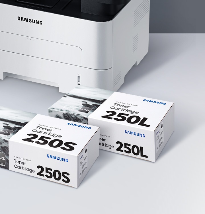 하얀색 책상 위 배경에 이미지 왼쪽 윗부분에는 제품 이미지가 있고 그 앞에 토너 박스 오른쪽 위에서 내려본 이미지가 있습니다. 토너 박스에는 각각 앞에서부터 250S, 250L 이 적혀 있습니다.
