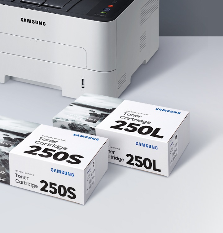 하얀색 책상 위 배경에 이미지 왼쪽 윗부분에는 제품 이미지가 있고 그 앞에 토너 박스 오른쪽 위에서 내려본 이미지가 있습니다. 토너 박스에는 각각 앞에서부터 250S, 250L 이 적혀 있습니다.