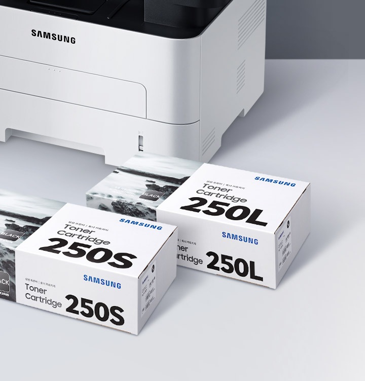 하얀색 책상 위 배경에 이미지 왼쪽 윗부분에는 제품 이미지가 있고 그 앞에 토너 박스 오른쪽 위에서 내려본 이미지가 있습니다. 토너 박스에는 각각 앞에서부터 250S, 250L 이 적혀 있습니다.
