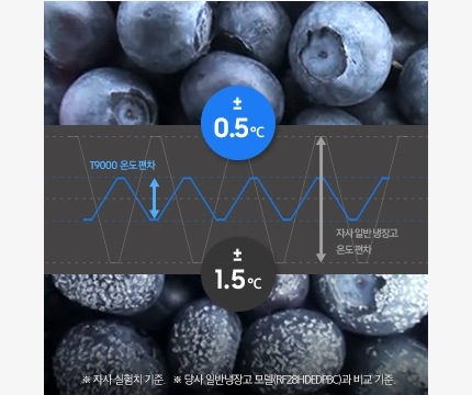 T9000과 자사 일반 냉장고의 차이를 보여주기 위해 상단엔 싱싱한 블루베리, 하단엔 얼음이 낀 블루베리가 있습니다.