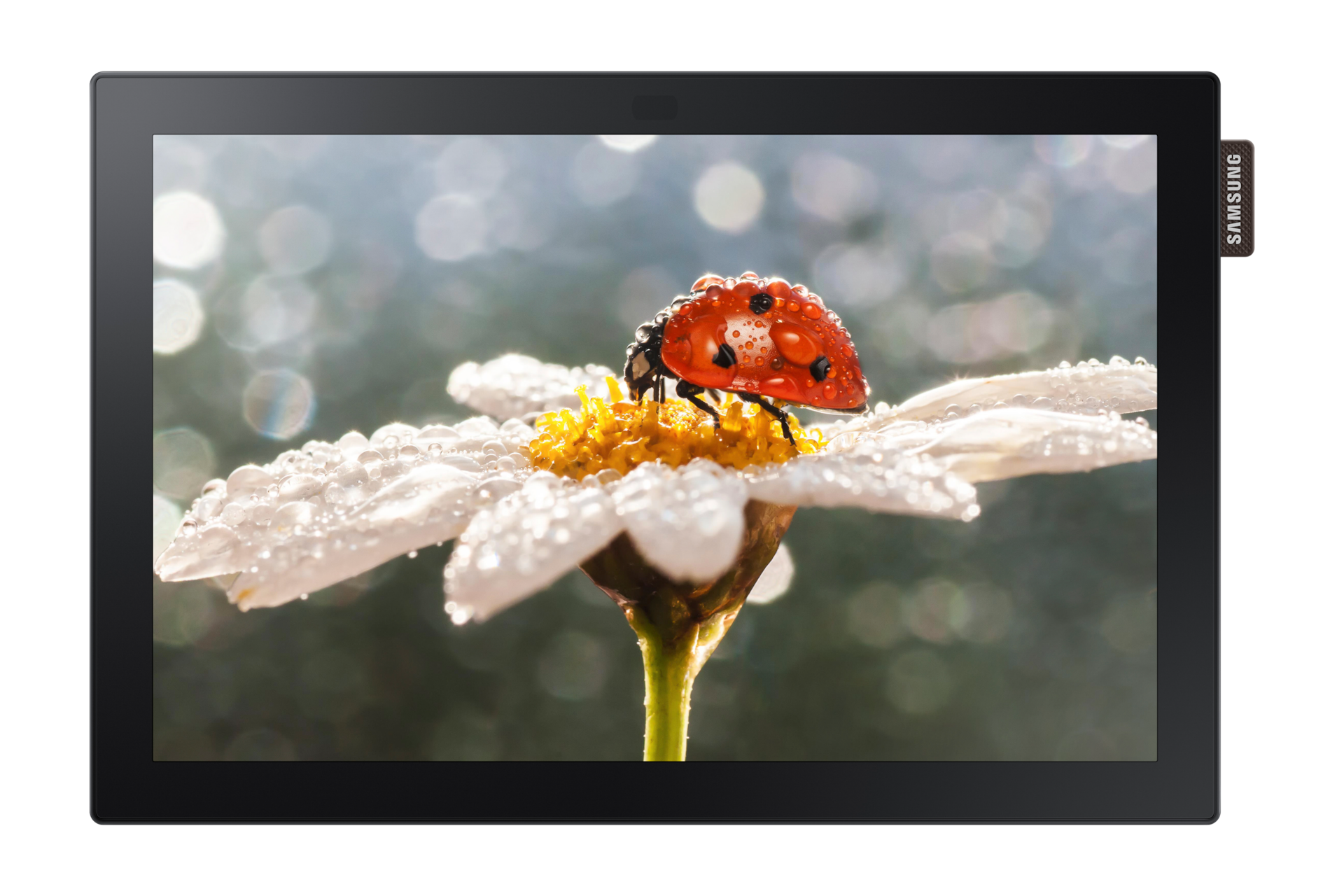 단독형 DBE-T시리즈 25cm
LH10DBEPTGC/KR