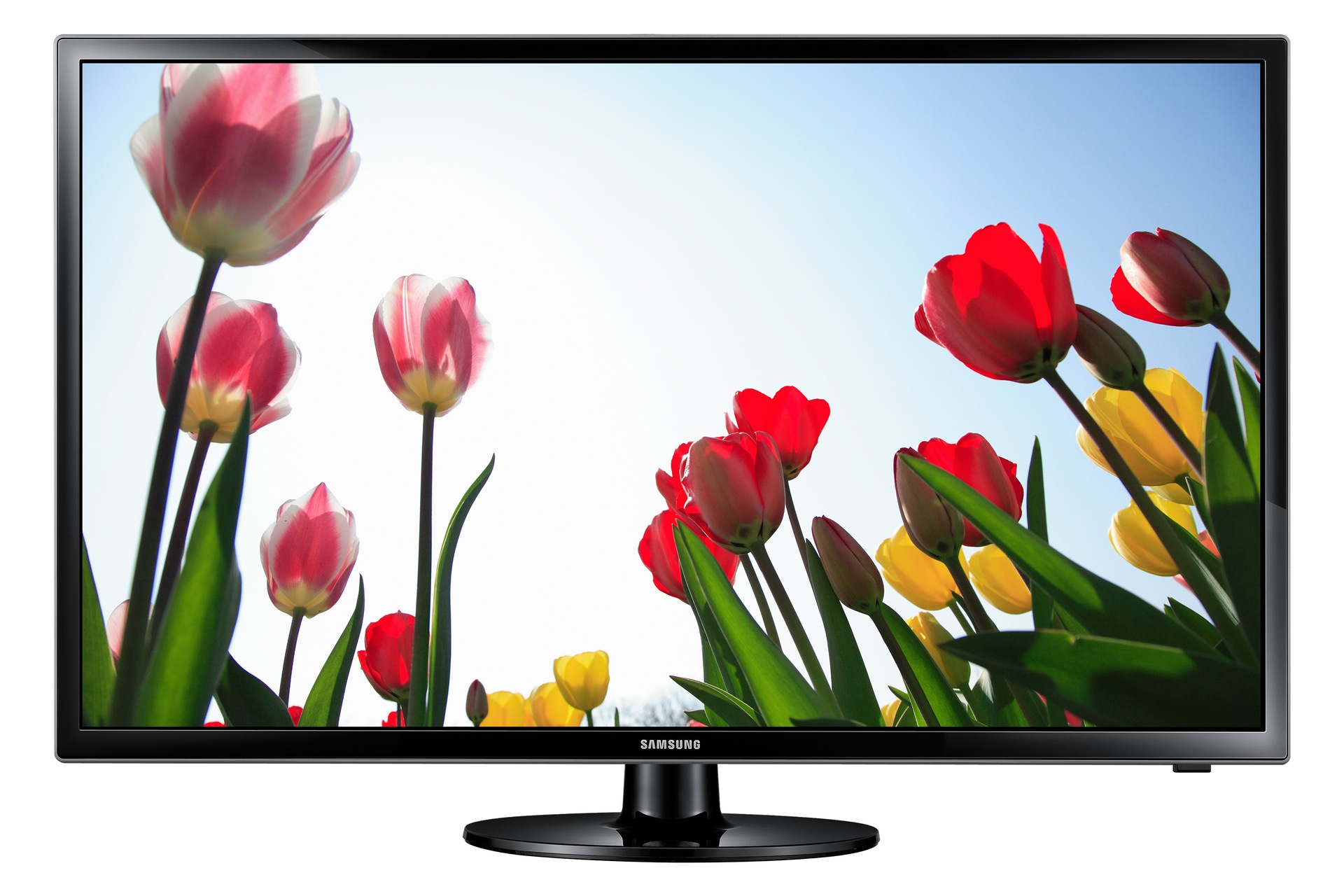 HD TV H4190AF 80 cm
