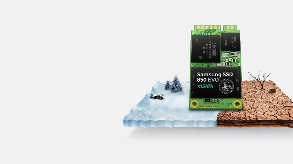 SSD 850 EVO mSATA III 250 GB | MZ-M5E250BW | Samsung Business