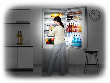 Bottom Freezer Refrigerator 435L - Silver