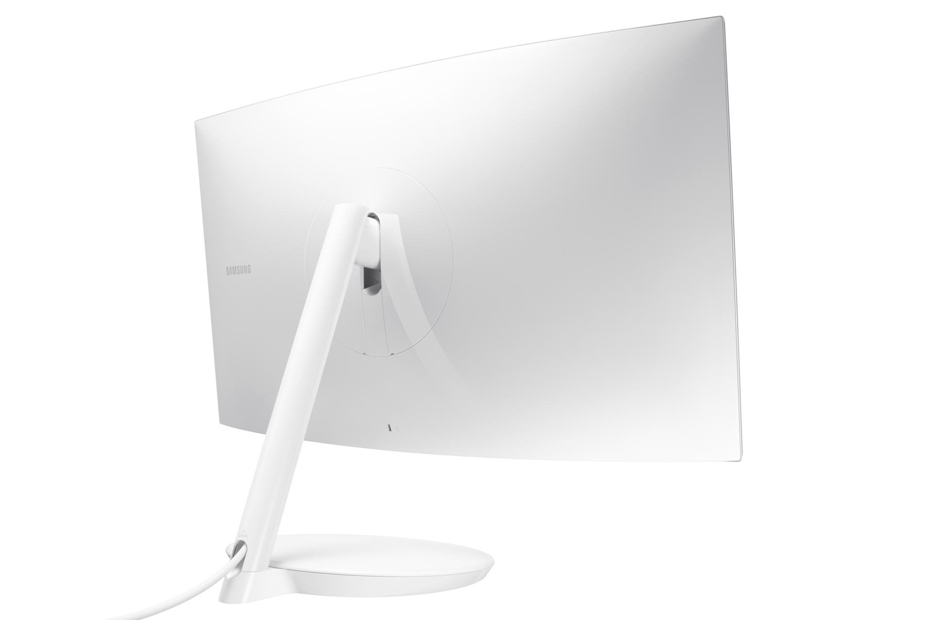 dynamic white
