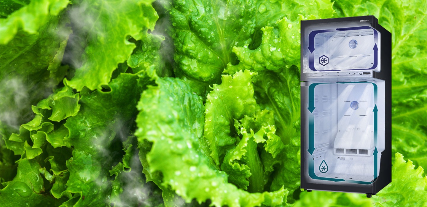 雙循環冷卻系統