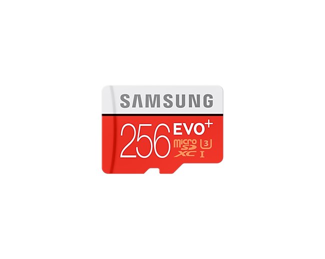 Карта пам'ті Samsung Micro SD EVO Plus 256Gb MB-MC256DA/RU - фото 1