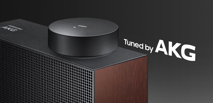 samsung akg vl3 speaker