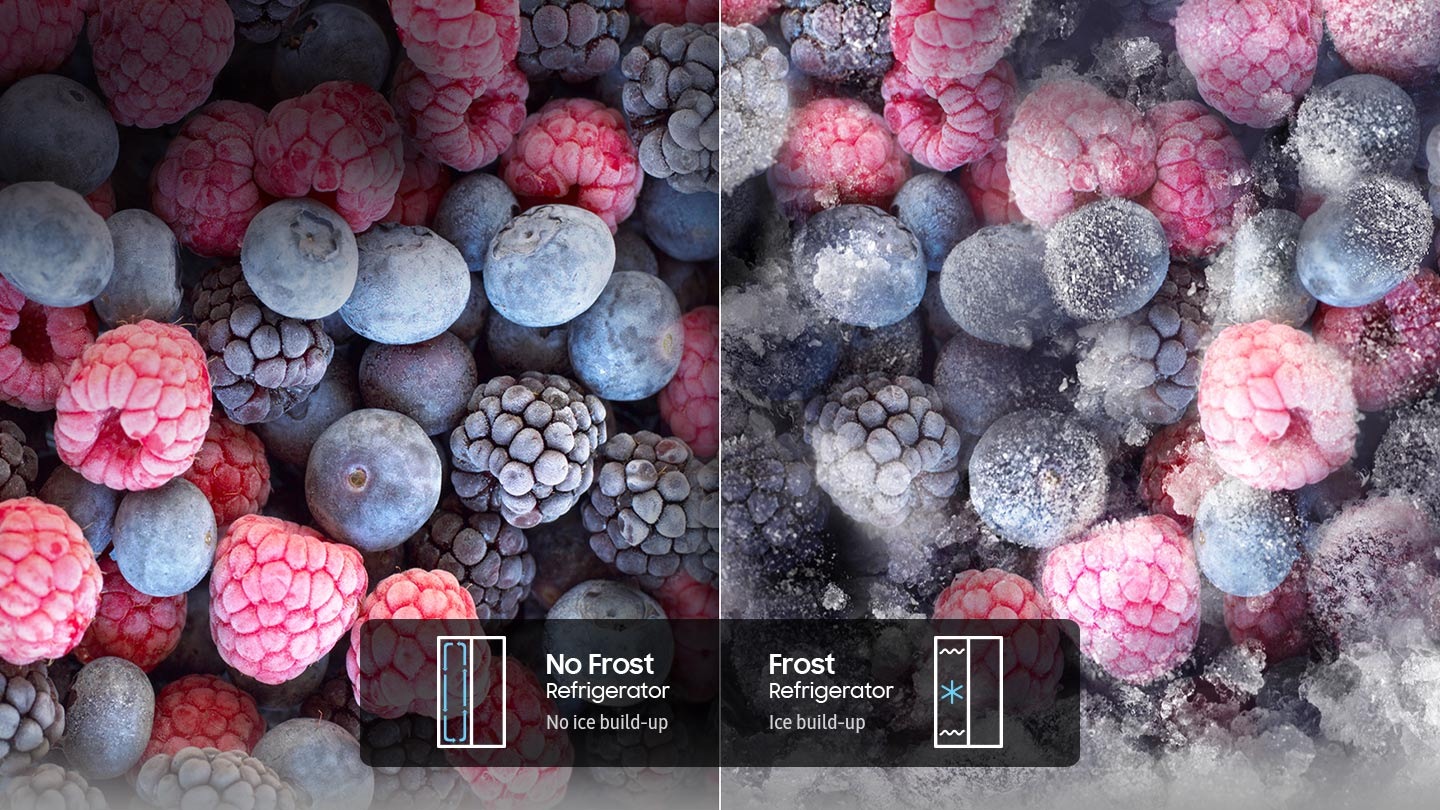 Frost Free