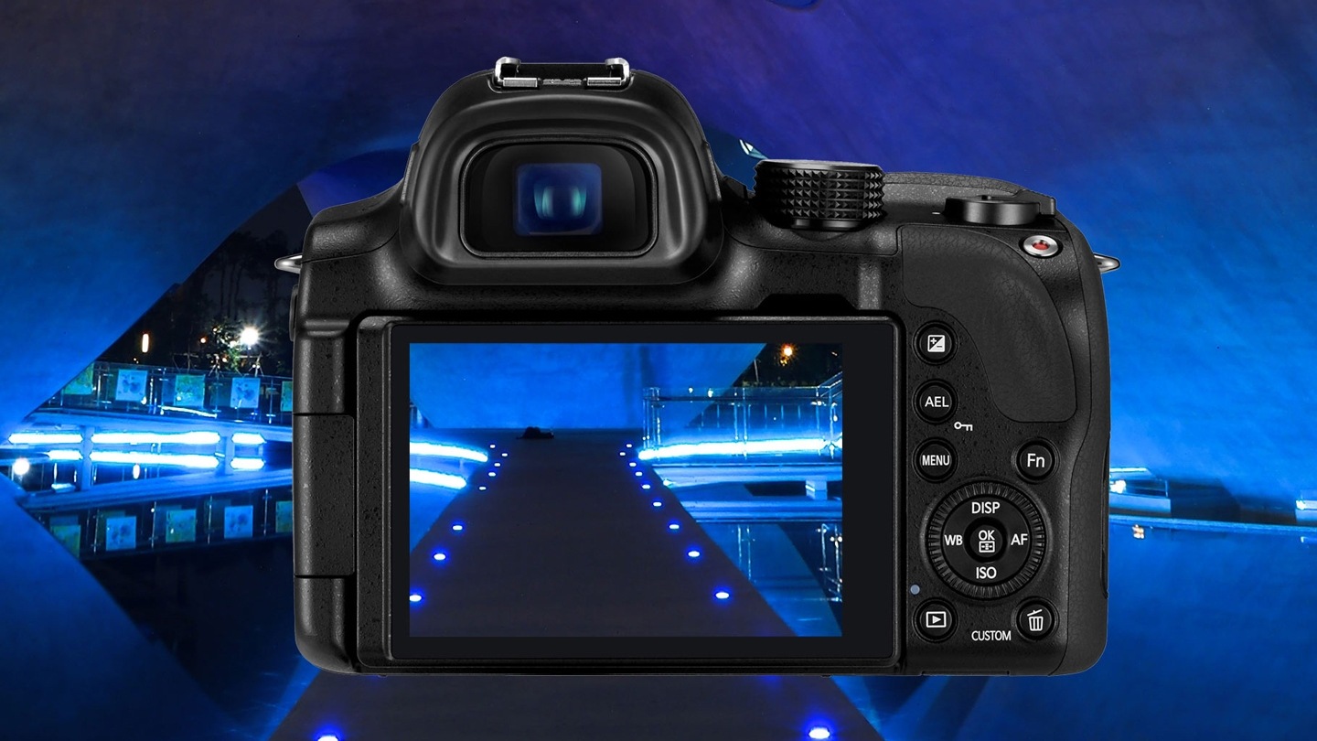 Luci, camera, azione