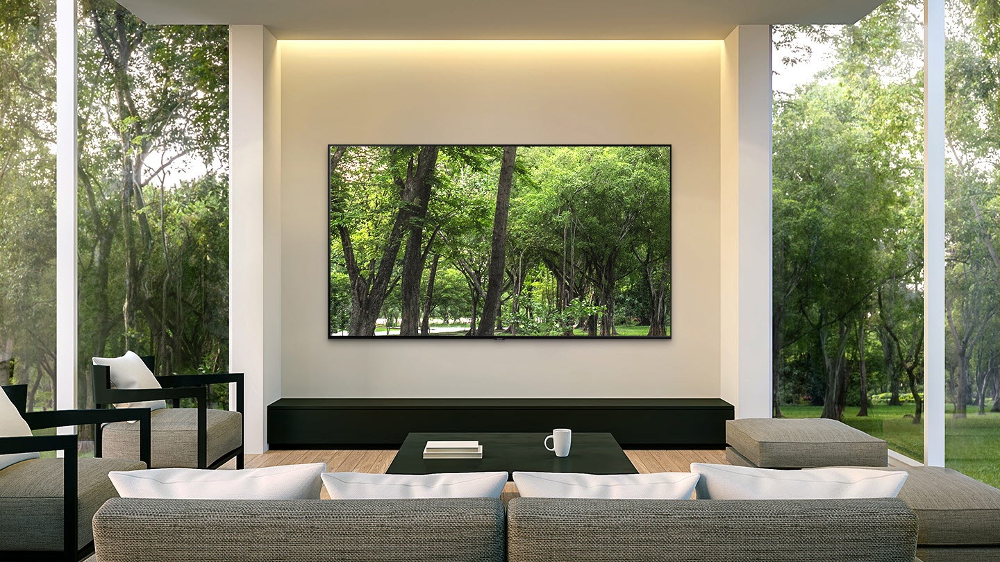 Guarda l'immagine, non la TV
