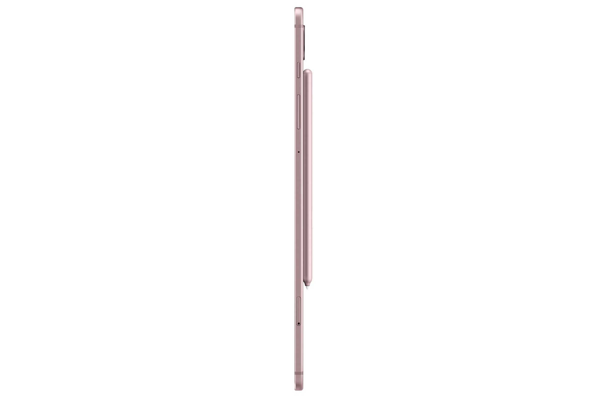 r-side-with-pen brown
