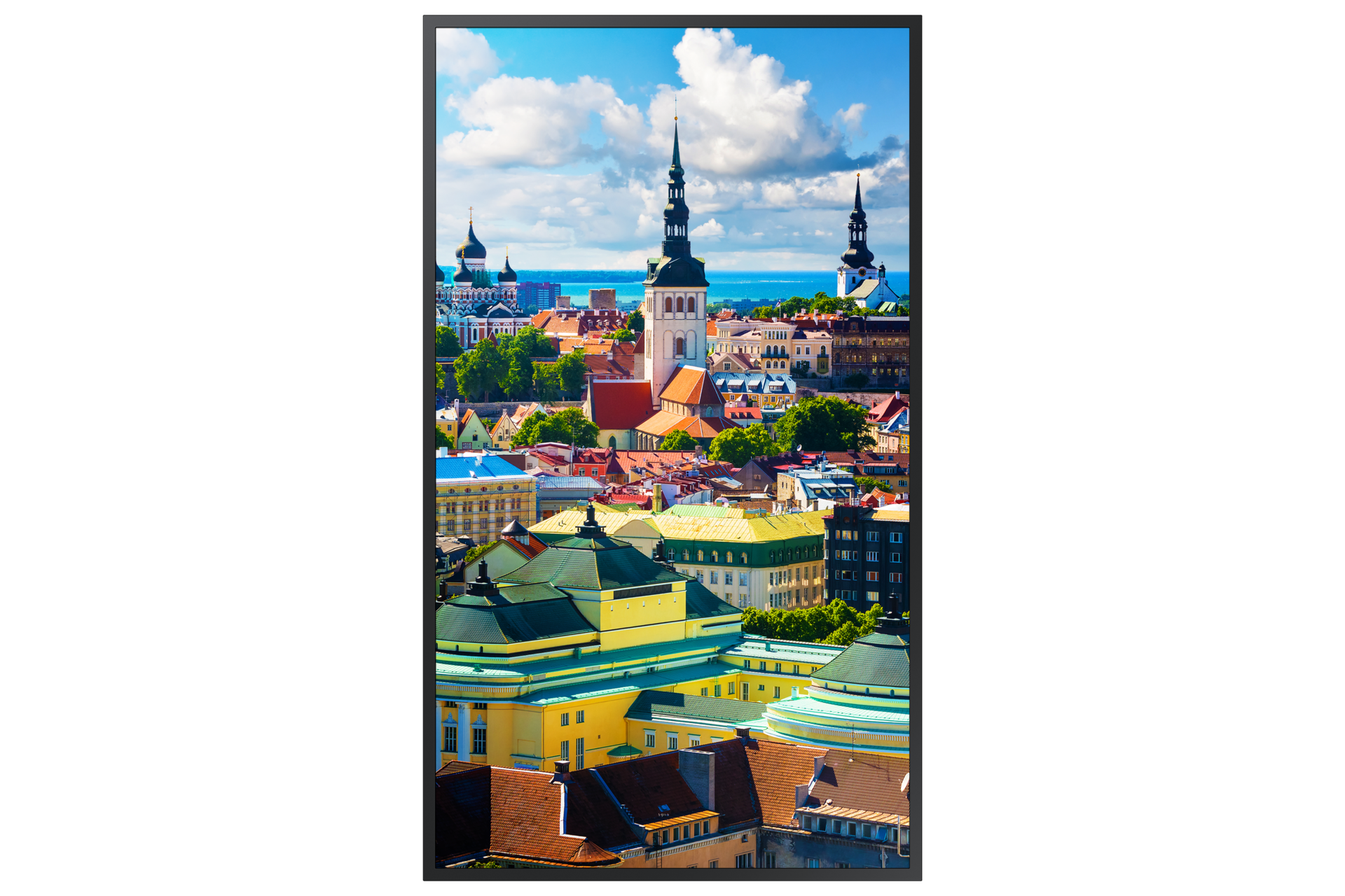 front-portrait black