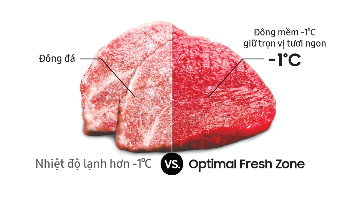 Ngăn Đông Mềm Optimal Fresh Zone