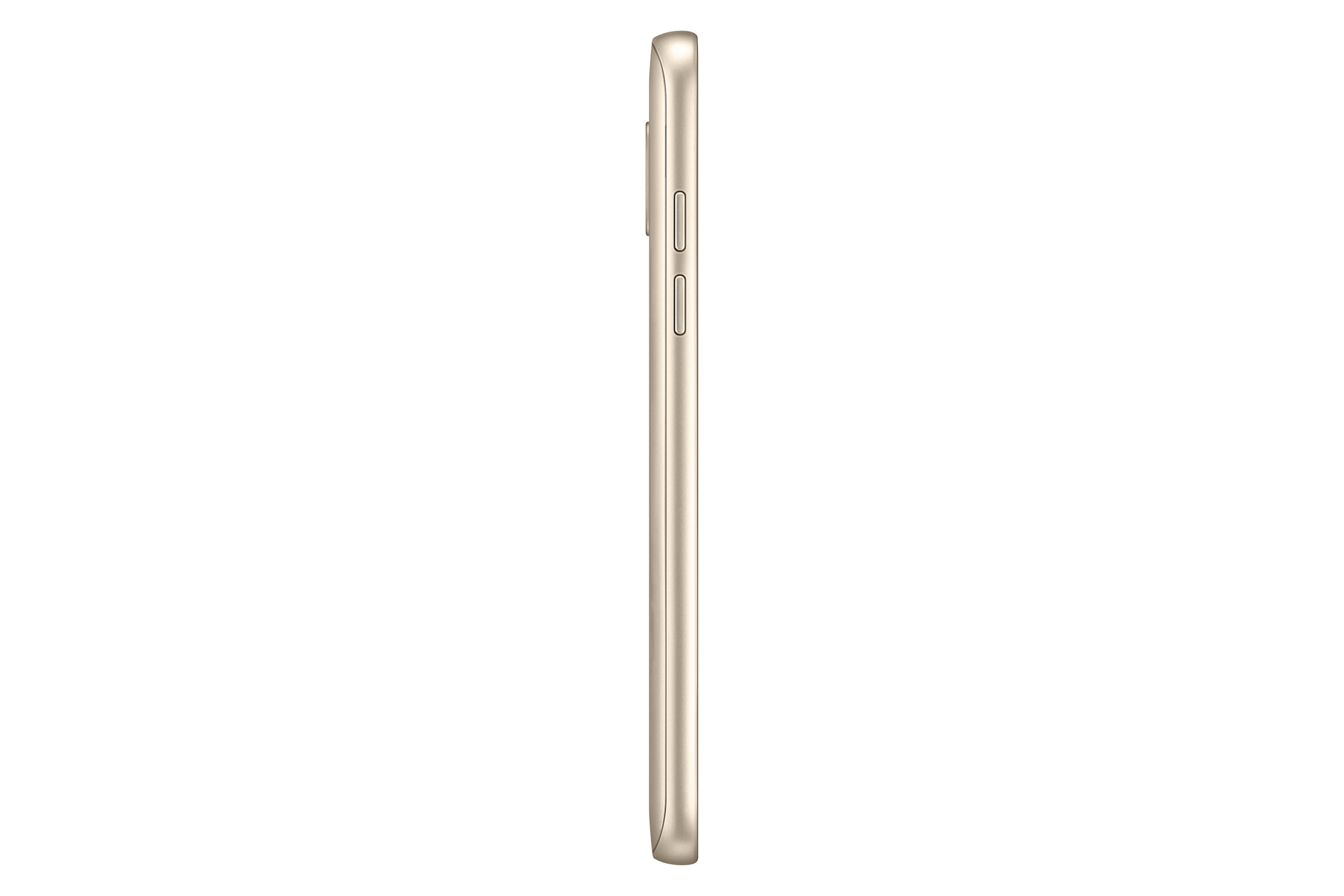l-side gold