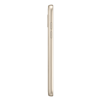 l-side gold