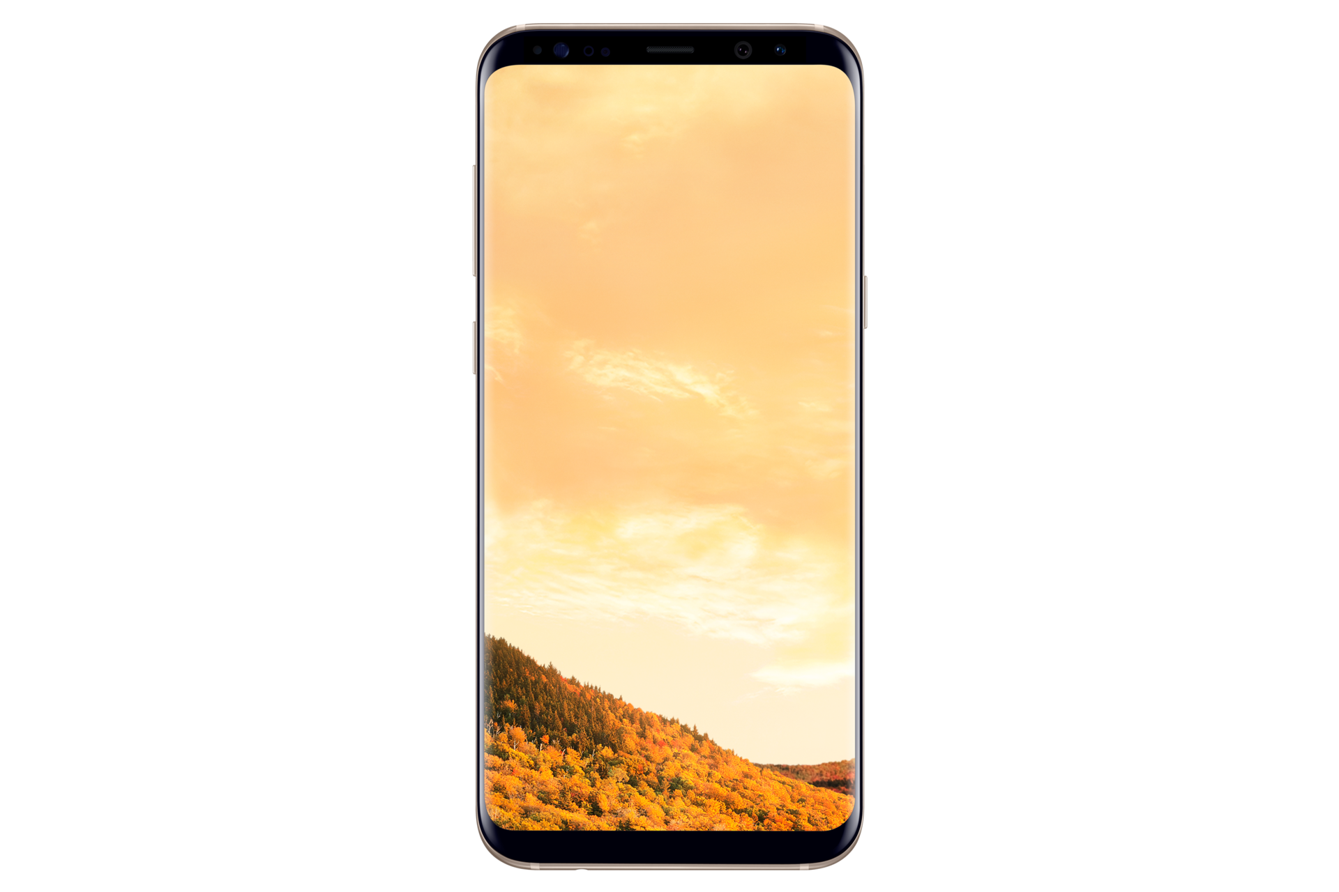 Galaxy S8+ | Samsung Support South Africa