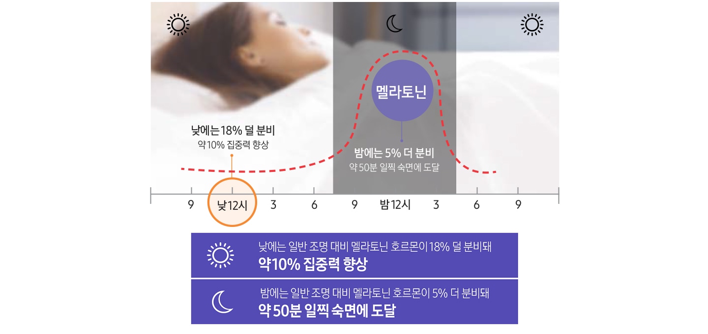 멜라토닌 수치를 그래프로 보여주고 있습니다. 낮에는 약 10% 집중력 향상, 밤에는 약 50분 일찍 숙면에 도달 내용을 설명하고 있습니다.