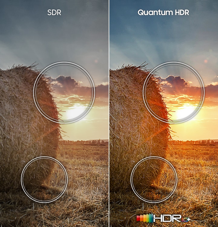 SDR 과 Quantum HDR 명암비를 비교하여 보여주는 이미지입니다.