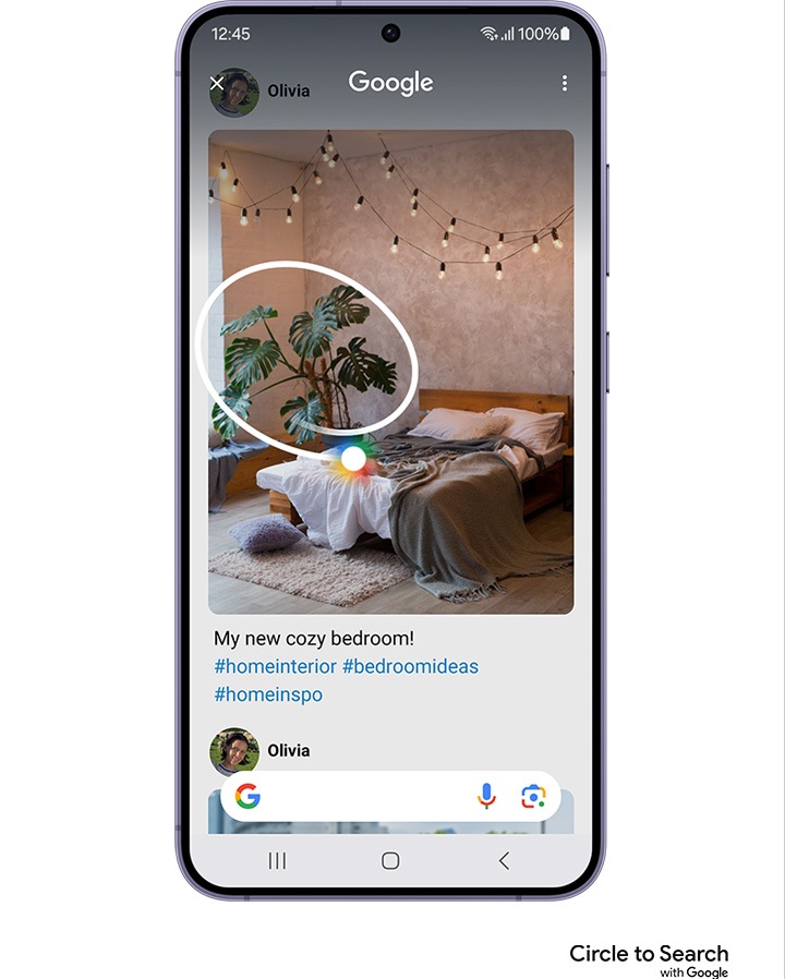 갤럭시 S24 플러스 화면에 소셜미디어 게시물이 떠있습니다. 이미지 속 식물에 동그라미가 표시되고, 화면 하단에 구글 검색창이 나타납니다.