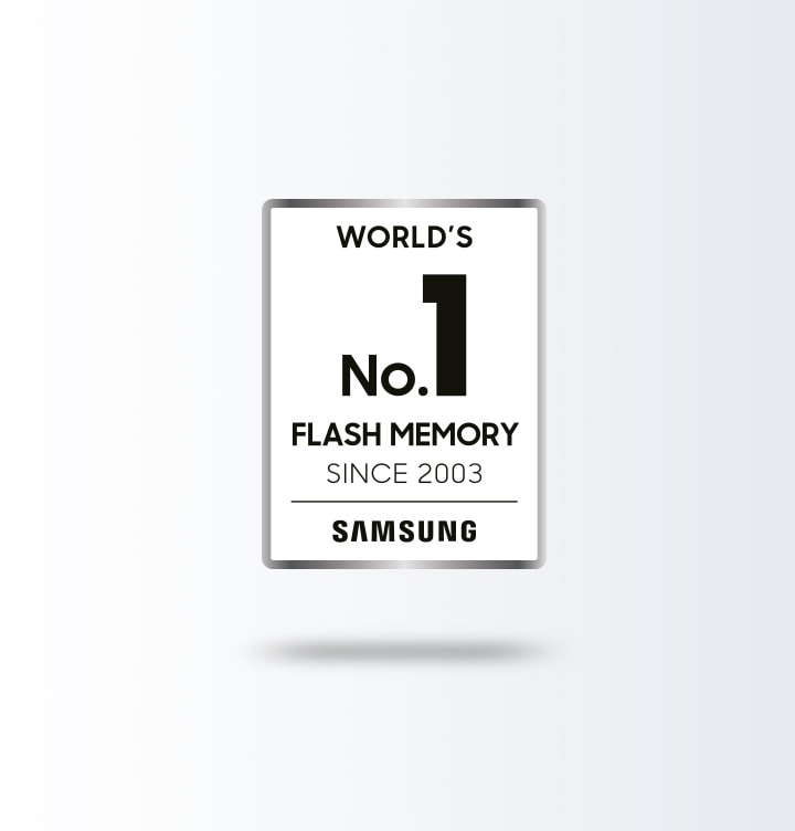 WORLD's No.1 Flash MEMORY 로고가 노출되고 있습니다